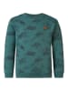 Noppies Sweatshirt "Williamsville" in Grün