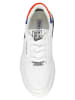 Steve Madden Sneakers "Parks" wit/meerkleurig