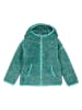 Icepeak Fleece vest "Jaipur" groen