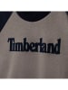 Timberland Bluza w kolorze szarym