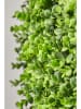 AMARE Blättermatte in Grün - (L)50 x (B)50 x (H)8 cm