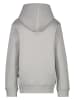 Cars Hoodie "Dyran" in Grau