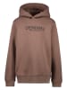 Cars Hoodie "Dyran" in Braun