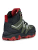 Geox Wanderschuhe "Magnetar" in Khaki