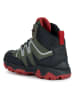 Geox Wanderschuhe "Magnetar" in Khaki
