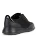 Geox Sneakers "Alleniee" in Schwarz