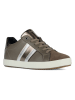 Geox Sneakers "Blomiee" in Khaki