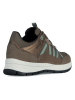 Geox Sneakersy "Braies" w kolorze brązowym
