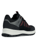 Geox Sneakers "Braies" zwart