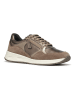 Geox Sneakers "Bulmya" in Khaki