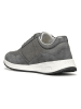 Geox Sneakers "Bulmya" in Grau