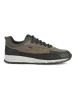 Geox Sneakers "Delray" in Khaki