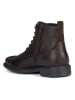 Geox Leder-Boots "Terence" in Braun