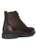 Geox Leren boots "Terence" bruin