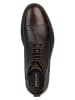 Geox Leren boots "Terence" bruin