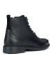 Geox Leder-Boots "Terence" in Schwarz