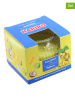 Haribo 2er-Set: Duftkerze "Haribo Coconut Lime" in Gelb - 2 x 85 g