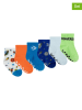 Converse 6-delige set: sokken meerkleurig