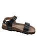 Fischer Markenschuh Sandalen in Schwarz