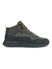 Geox Sneakers "Terrestre" in Grau