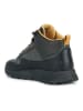 Geox Sneakers "Terrestre" in Grau