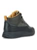 Geox Sneakers "Terrestre" grijs