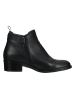 Ara Shoes Leder-Ankle-Boots in Schwarz