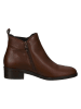 Ara Shoes Leder-Ankle-Boots in Braun