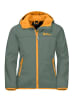 Jack Wolfskin Softshelljas "Fourwinds" olijfgroen