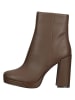 Steve Madden Stiefeletten in Hellbraun