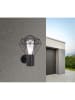 Globo lighting Buitenlamp "Horcace" zwart - (B)22,5 x (H)31 cm