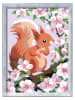 Ravensburger Malen nach Zahlen-Set: "Neugieriges Eichhörnchen" - ab 9 Jahren
