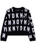 DKNY Sweatshirt in Schwarz