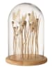J Line Decoratief figuur lichtbruin - (H)25 x Ø 16,5 cm
