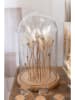 J Line Decoratief figuur lichtbruin - (H)25 x Ø 16,5 cm