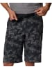 Columbia Functionele short "Slvr Rdge" zwart/grijs