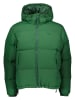 Lacoste Steppjacke in Grün