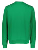 Lacoste Sweatshirt in Grün