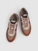 Pepe Jeans FOOTWEAR Sneakers bordeaux