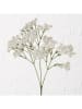 Boltze Decoratieve tak "Schleierkraut" wit - (H)70 cm