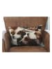 Mars & More Kissen in Bunt  - (L)50 x (B)10 x (H)35 cm