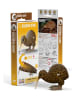 Eugy 3D Bastelset "Brauner Kiwi" - ab 6 Jahren