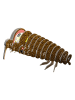Eugy 3D Bastelset "Brauner Kiwi" - ab 6 Jahren