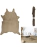 The Home Deco Kids Teppich in Taupe - (L)158 x (B)120 cm