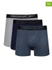 Reebok 3-delige set: boxershorts "Malone" donkerblauw/grijs