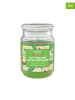 CANDLE-LITE 2-delige set: geurkaarsen "Put The Lime In The Coconut" groen - 510 g