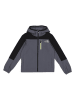 The North Face Funktionsjacke "Performance" in Grau