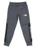 The North Face Trainingshose "New Ampere" in Grau