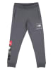 The North Face Sweatbroek grijs