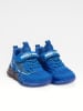 Bull Boys Sneakers "T-Rex" in Blau